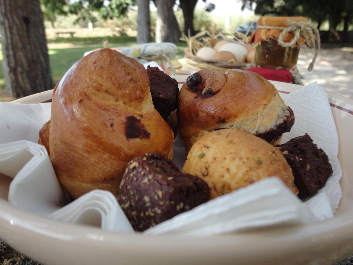 Cefalicchio B&B Canosa di Puglia Luaran gambar