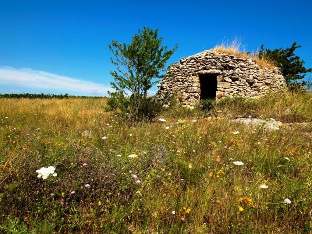 Cefalicchio B&B Canosa di Puglia Luaran gambar