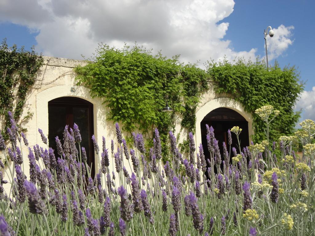 Cefalicchio B&B Canosa di Puglia Luaran gambar